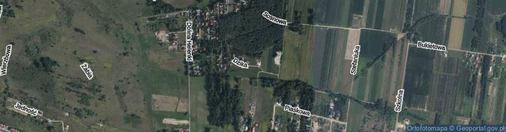 Zdjęcie satelitarne Dzika ul.